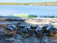 Пежостров, Соколка, Двинские луды: основная рыба в 100 м от избы, джиг салатовый