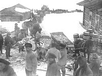 Чупа 1916–1917 и Кереть 1894: причал, лесосплав, селедка беломорка — немного истории