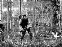 Чупа 1916–1917 и Кереть 1894: причал, лесосплав, селедка беломорка — немного истории