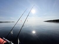 Съездили как смогли: по погоде терпимо, по рыбе средне, впечатления живые