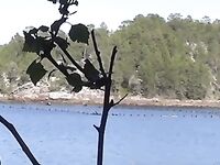 Загоны в акватории: это форелевое хозяйство или что, где именно место?