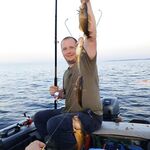 Нижняя Пулонга 10–17 августа: семья, белухи у лодки, самодур+пилькер и морозилка 40 л