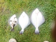 Спасибо за приём: Чупа, Белое море — короткий отклик команде