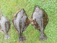 Спасибо за приём: Чупа, Белое море — короткий отклик команде