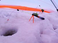 Сезон для дочки