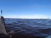 Первый морской выезд сезона