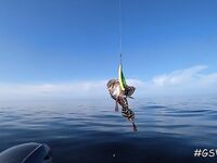 Треска не пришла, зато всё остальное