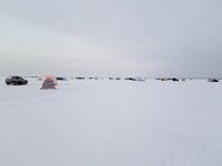 Рявча в Кади дала жару