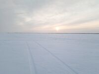 Рявча в Кади дала жару