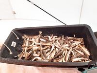 Отлив и ожидание воды