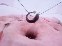 Отлив и ожидание воды