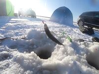 Трещит лёд и смеются поморы