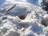 Трещит лёд и смеются поморы