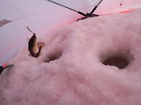 Не тот день, не то место