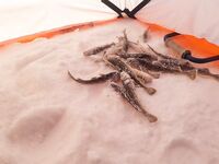 Не тот день, не то место