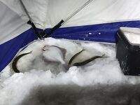 Утренняя тишина Сухого моря