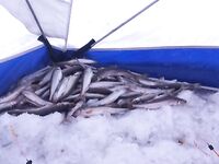 Утренняя тишина Сухого моря