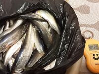 Утренняя тишина Сухого моря