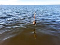 День ВМФ — традиция на воде