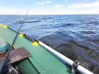 День ВМФ — традиция на воде