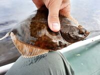 Последние тёплые дни у моря