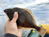 Последние тёплые дни у моря