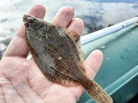 Последние тёплые дни у моря