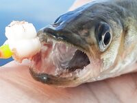 Последние тёплые дни у моря