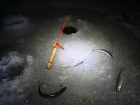 Прыгнул на последний лёд