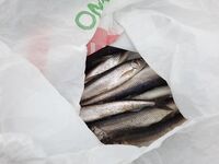 Прыгнул на последний лёд