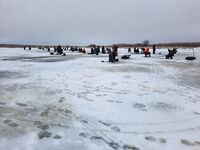 Прыгнул на последний лёд