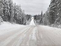 Ночная дорога в Луду и трофейная навага