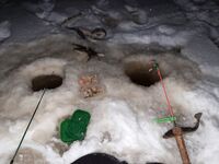 Навага, мороз и шутки у костра