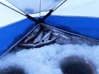 Первый лёд и пустые лунки