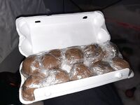 Белое море: Крещенский выезд и пустые снасти