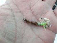 Белое море: ветер, палатка и мелочь