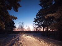 Белое море: мороз, палатки и корюшка