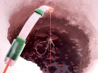 Белое море: новый помор и старая махалка