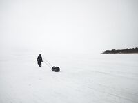 Белое море: солнце и мороз, навага пошла