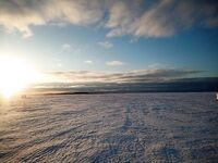 Белое море: солнце и мороз, навага пошла