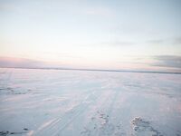 Белое море: солнце и мороз, навага пошла