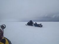 Белое море: махалки у Сухого моря