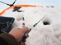 Белое море: снова Сухое море и махалки