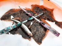 Белое море: снова Сухое море и махалки