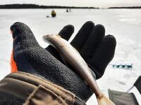 Белое море: весна, лёд и солнце