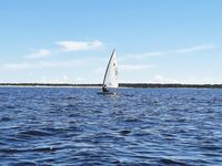 Белое море: жара, мелочь и рыба под солнцем