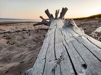 Белое море: треска и рявча на солнцепёке