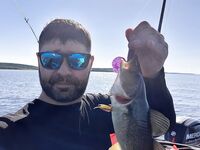 Белое море: треска и рявча на солнцепёке