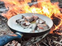 Белое море: треска и рявча на солнцепёке