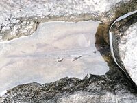 Белое море, донка и черви с отлива